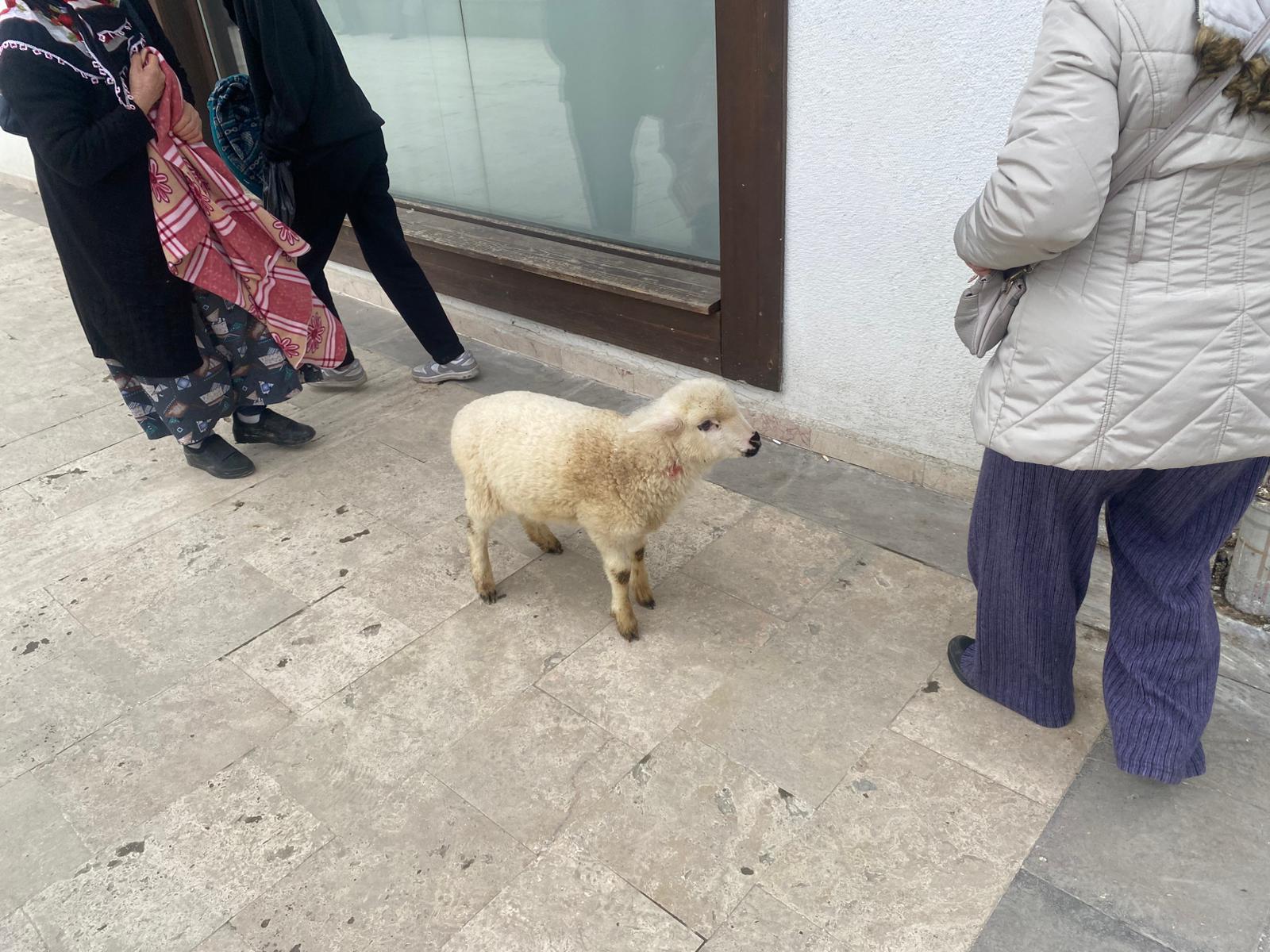 Whatsapp Image 2026 02 05 At 10.19.27 Am