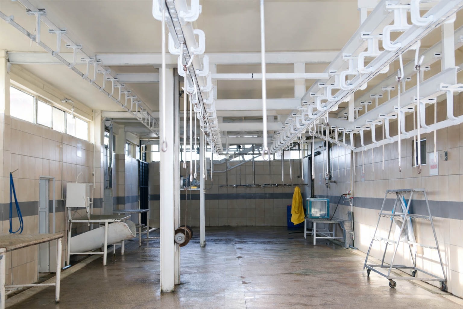 Whatsapp Image 2026 02 13 At 9.45.04 Am 4