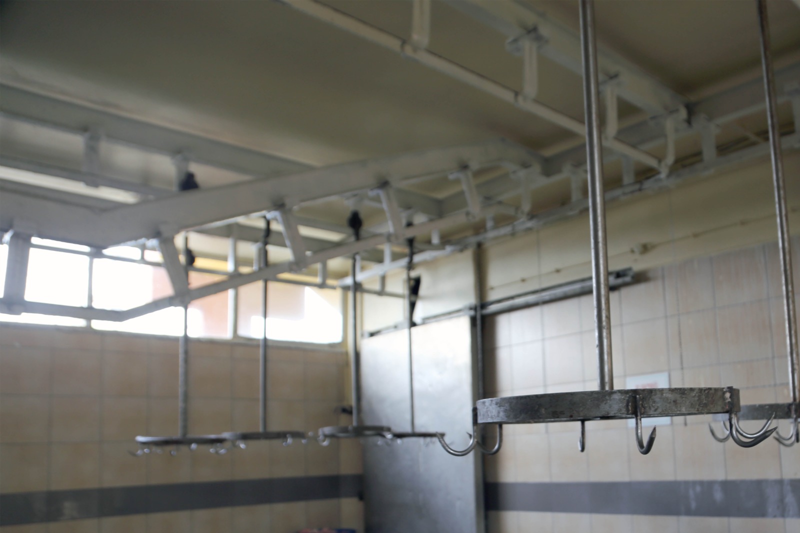 Whatsapp Image 2026 02 13 At 9.45.04 Am 6