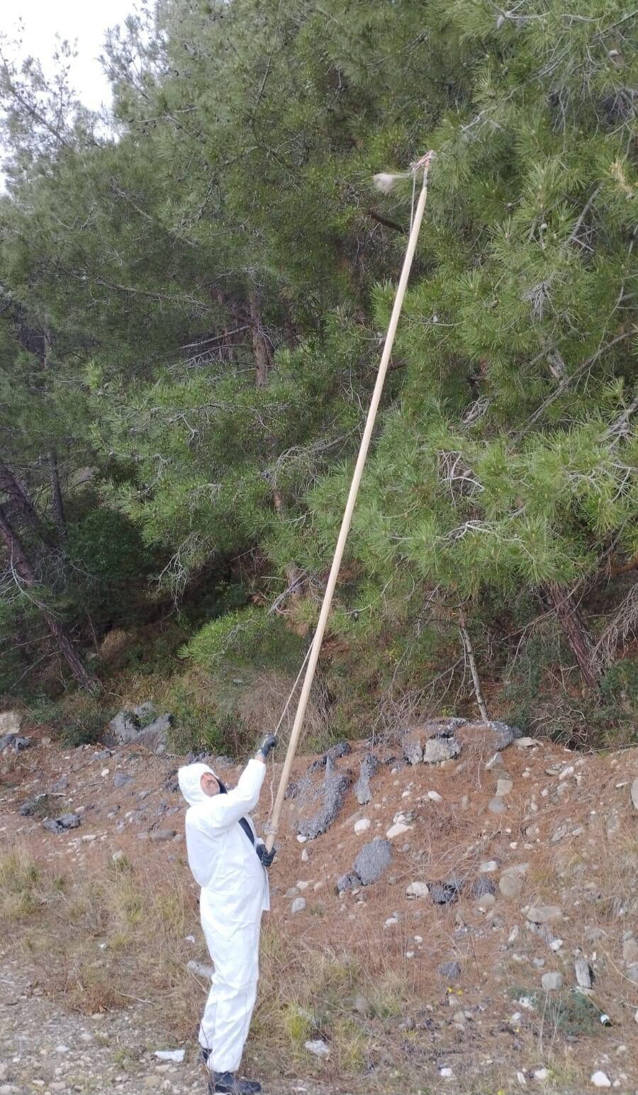 649839775 947916631101648 5403893276612725680 N