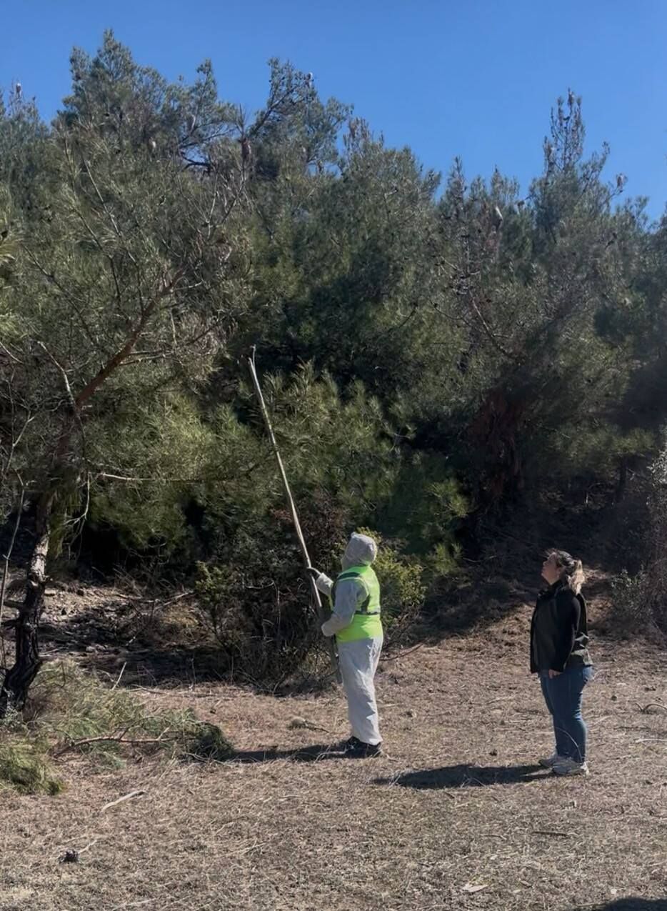 650014135 947916484434996 1533483956165263746 N