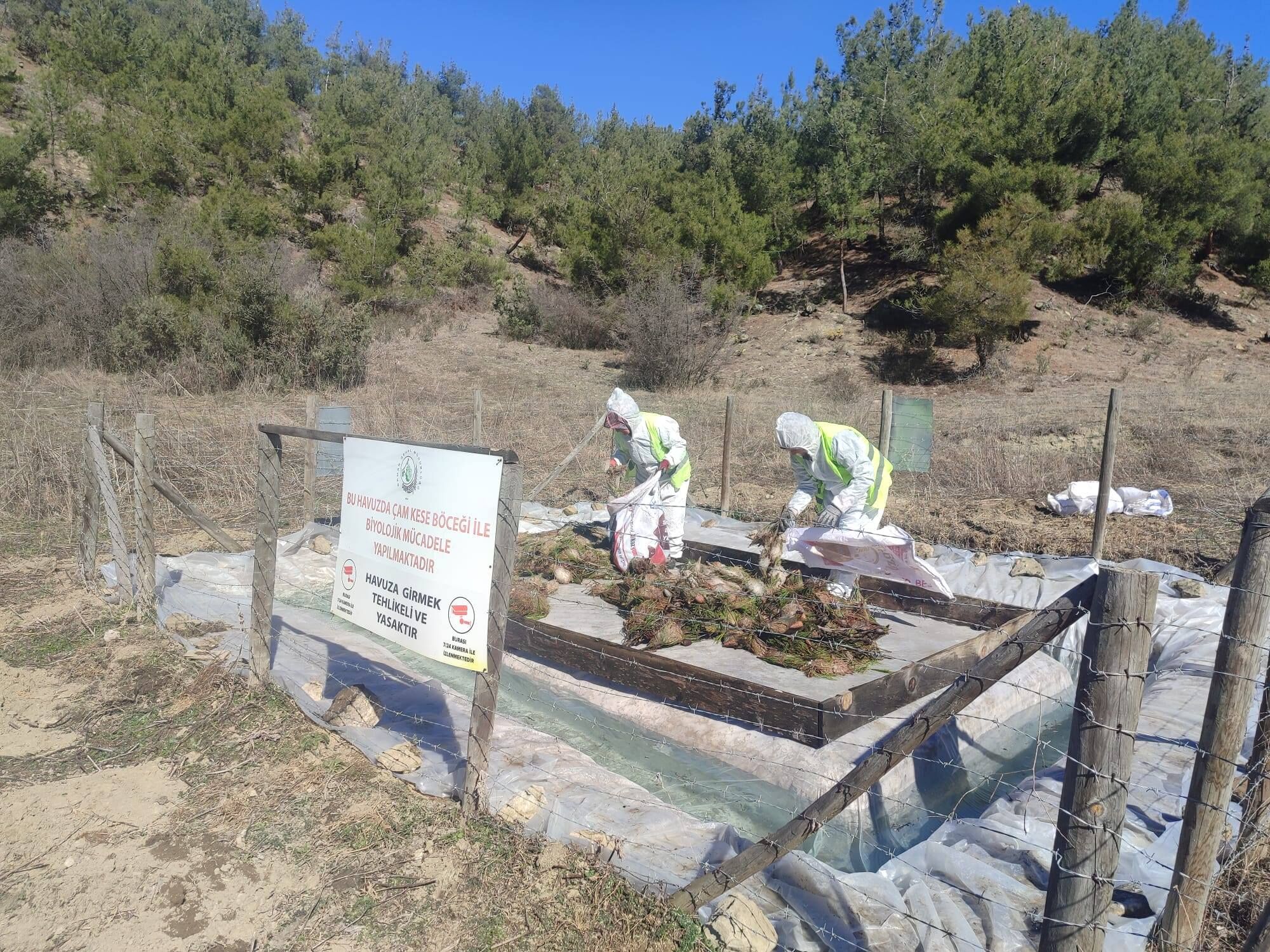 650108097 947917014434943 4903373817552755931 N