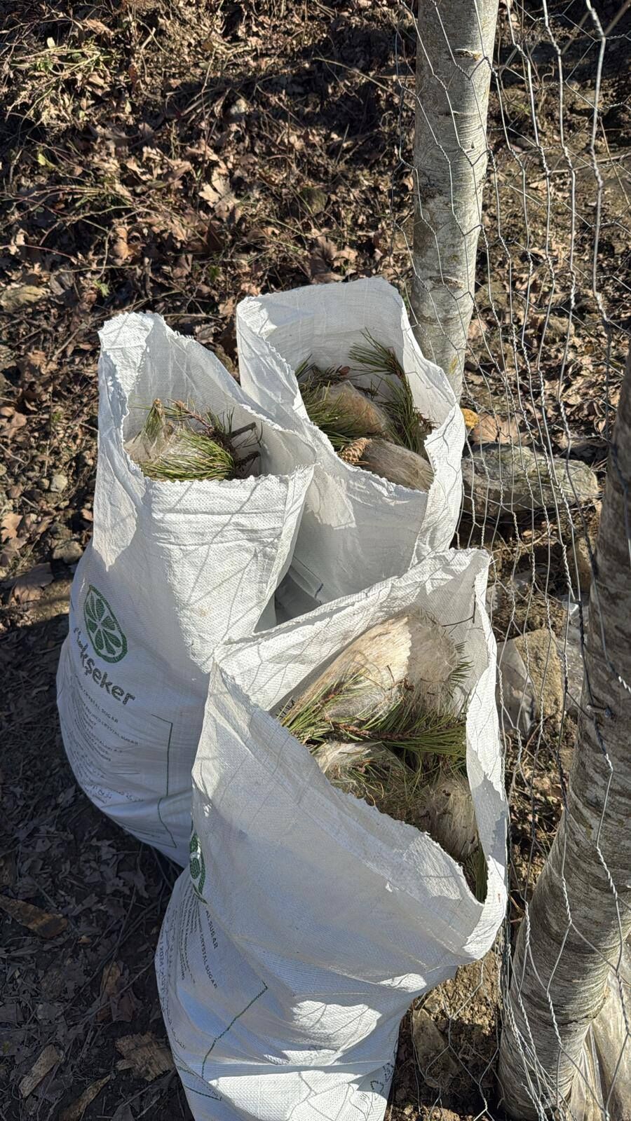 650120136 947916921101619 6545574336278124408 N