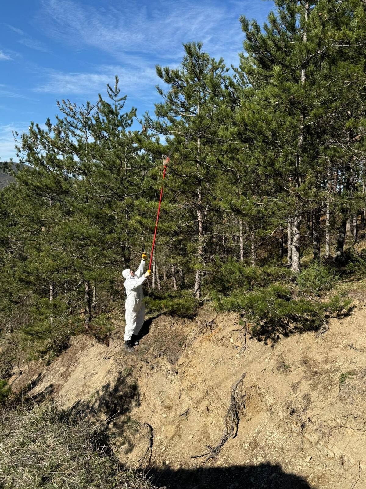 650378838 947916717768306 7051661616069856363 N