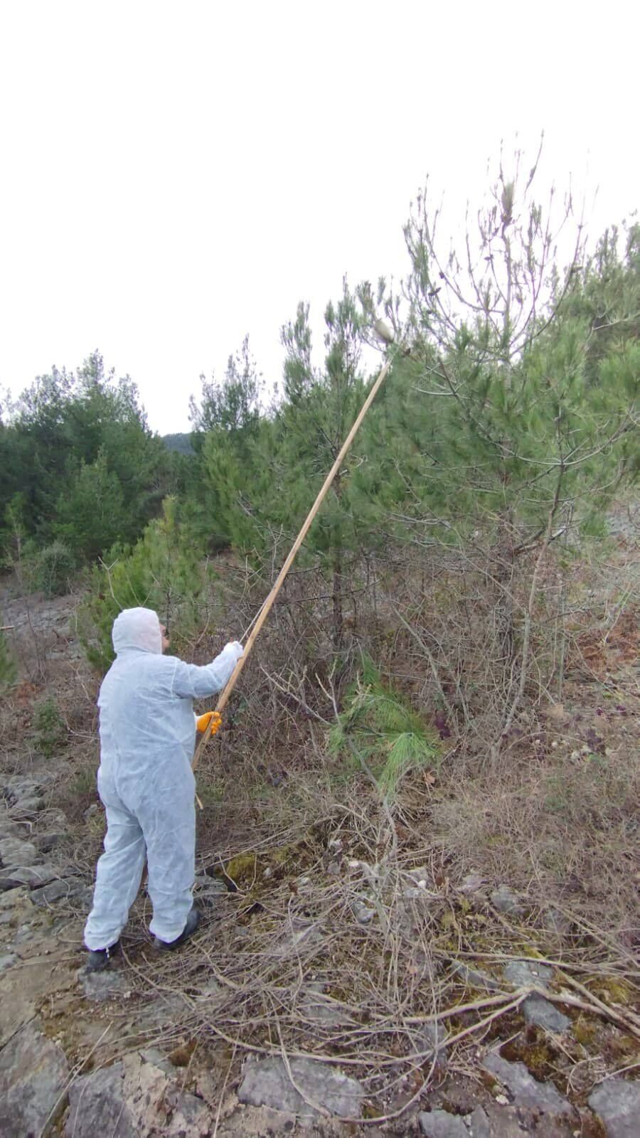 650542044 947916597768318 502127350548733283 N