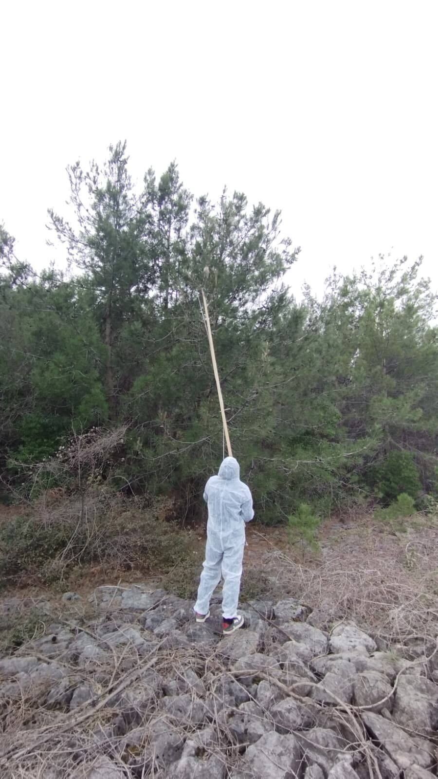 650647246 947916554434989 4841291705315484712 N