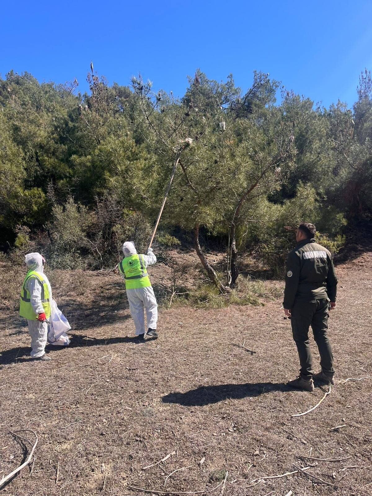 650729453 947916517768326 8212150277707610842 N