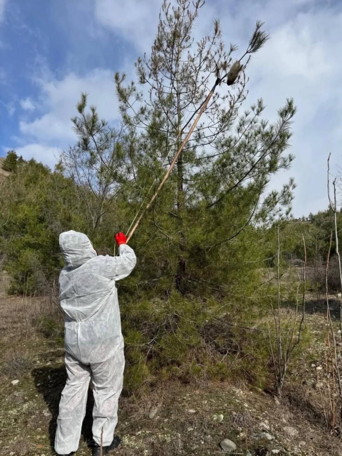 650762896 947916821101629 5919630180568141713 N