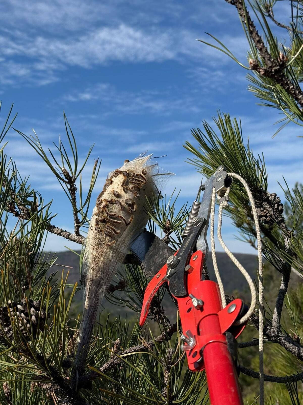 651334629 947916431101668 3407635659267891974 N