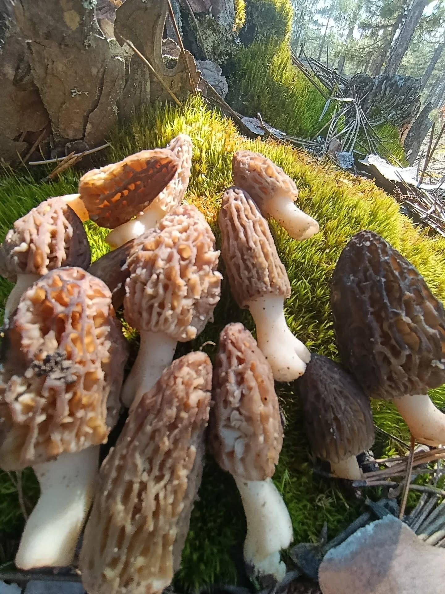 656678951 18399776449145064 894184514640968068 N.webp