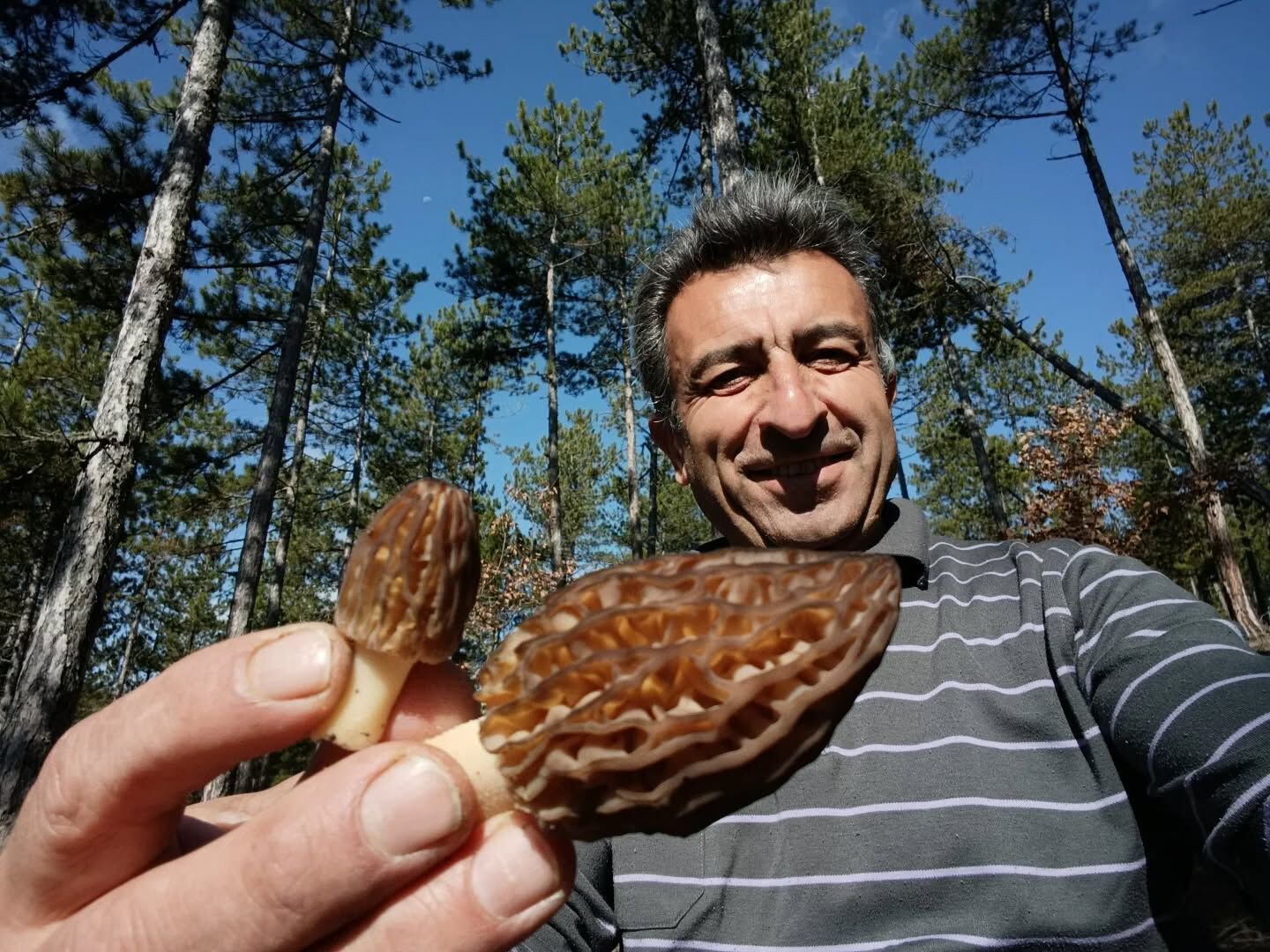 656817299 18399776404145064 2625211141813193629 N.webp