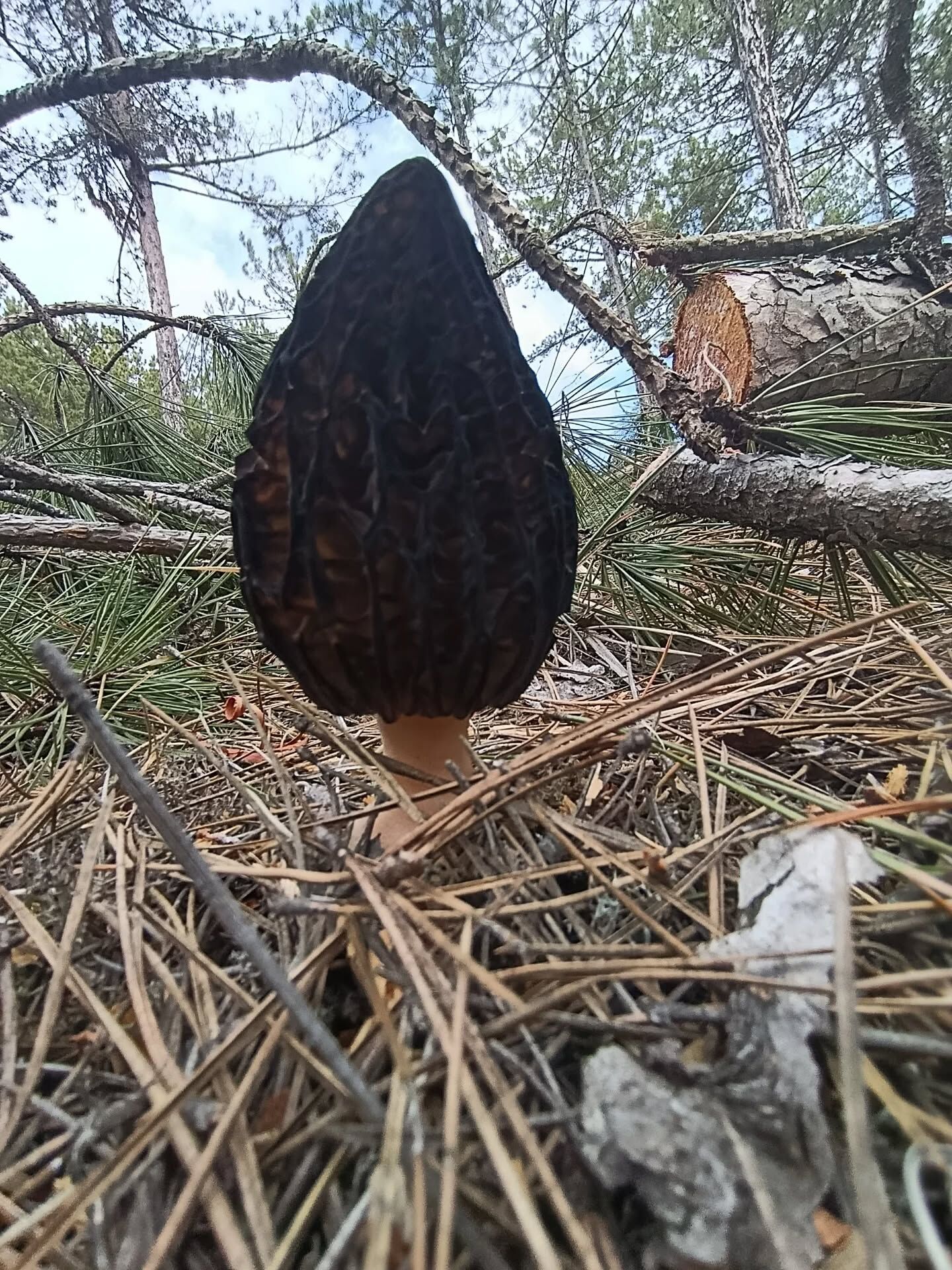 656834881 18399776470145064 7898720952394491676 N.webp