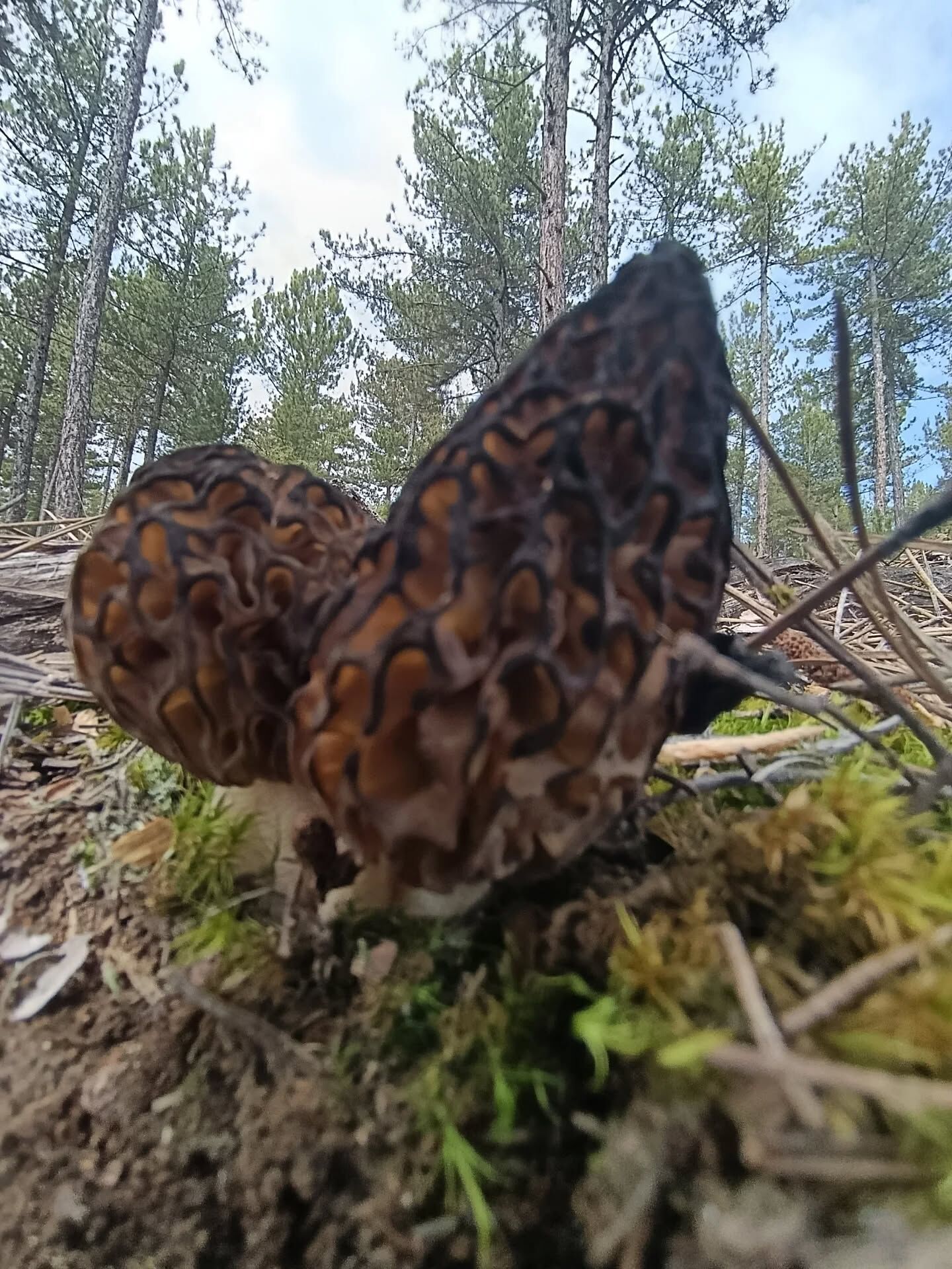 657249231 18399776434145064 9115872940944809649 N.webp