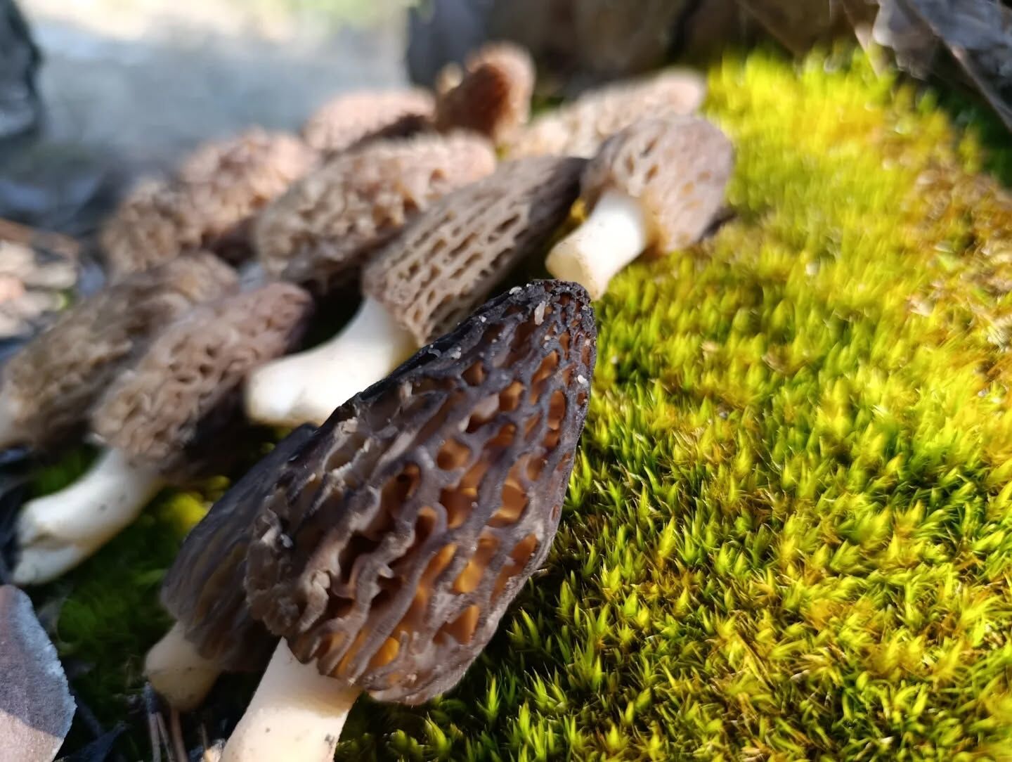 657305856 18399776416145064 8071537996661514755 N.webp