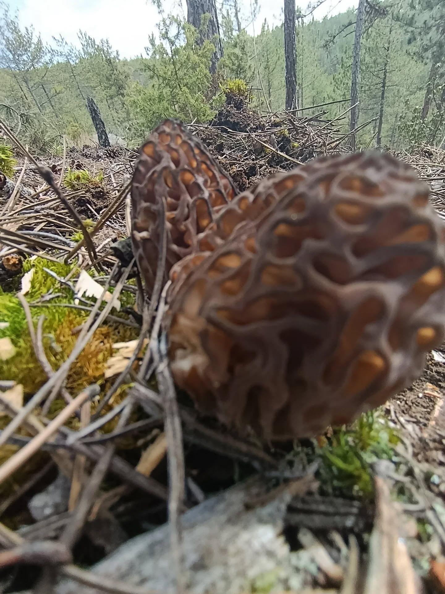 657383355 18399776425145064 6615572816902182202 N.webp