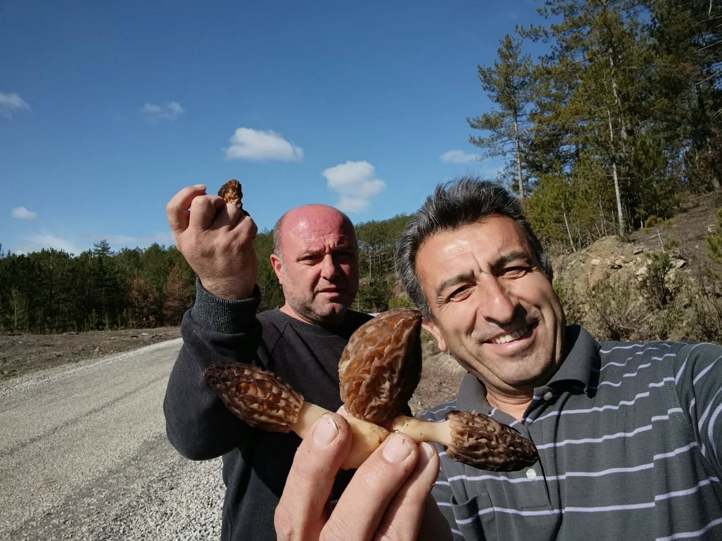 659492906 18399776383145064 1730497443458002133 N.webp