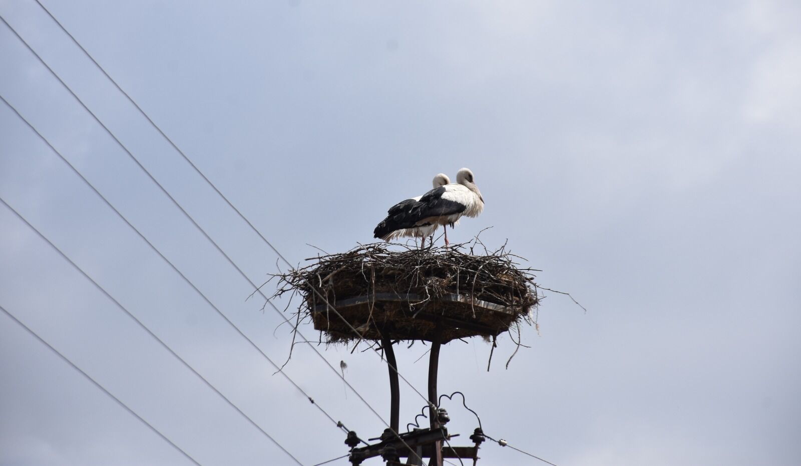 Whatsapp Image 2026 03 25 At 3.37.20 Pm 2