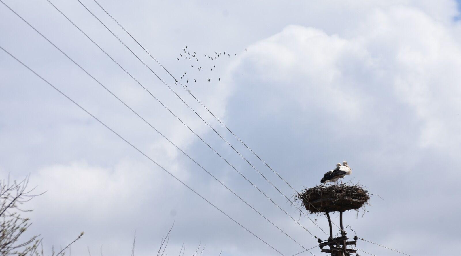 Whatsapp Image 2026 03 25 At 3.37.20 Pm