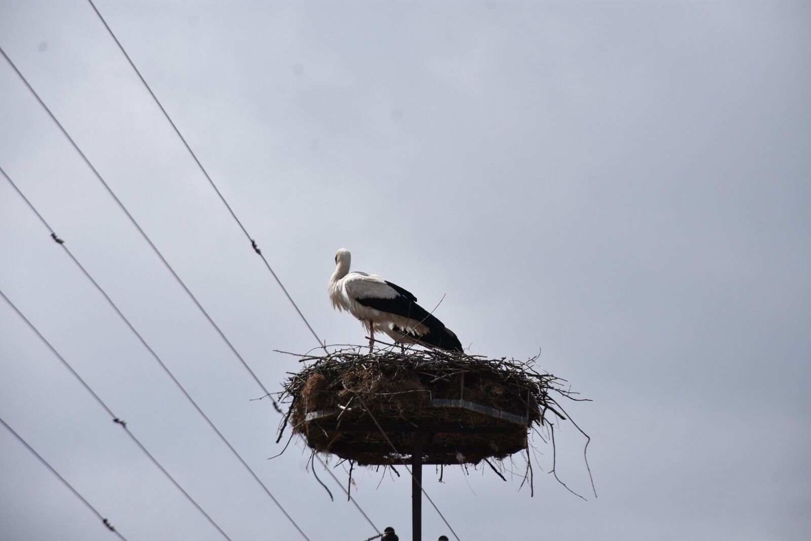 Whatsapp Image 2026 03 25 At 3.37.21 Pm 2