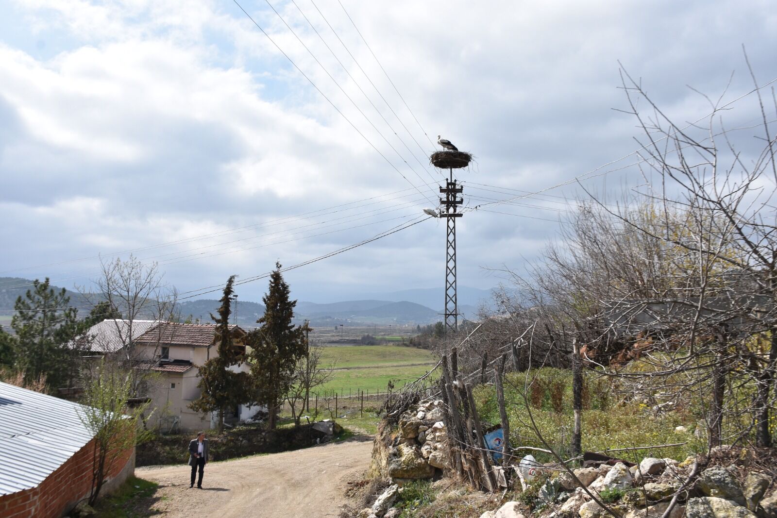 Whatsapp Image 2026 03 25 At 3.37.21 Pm