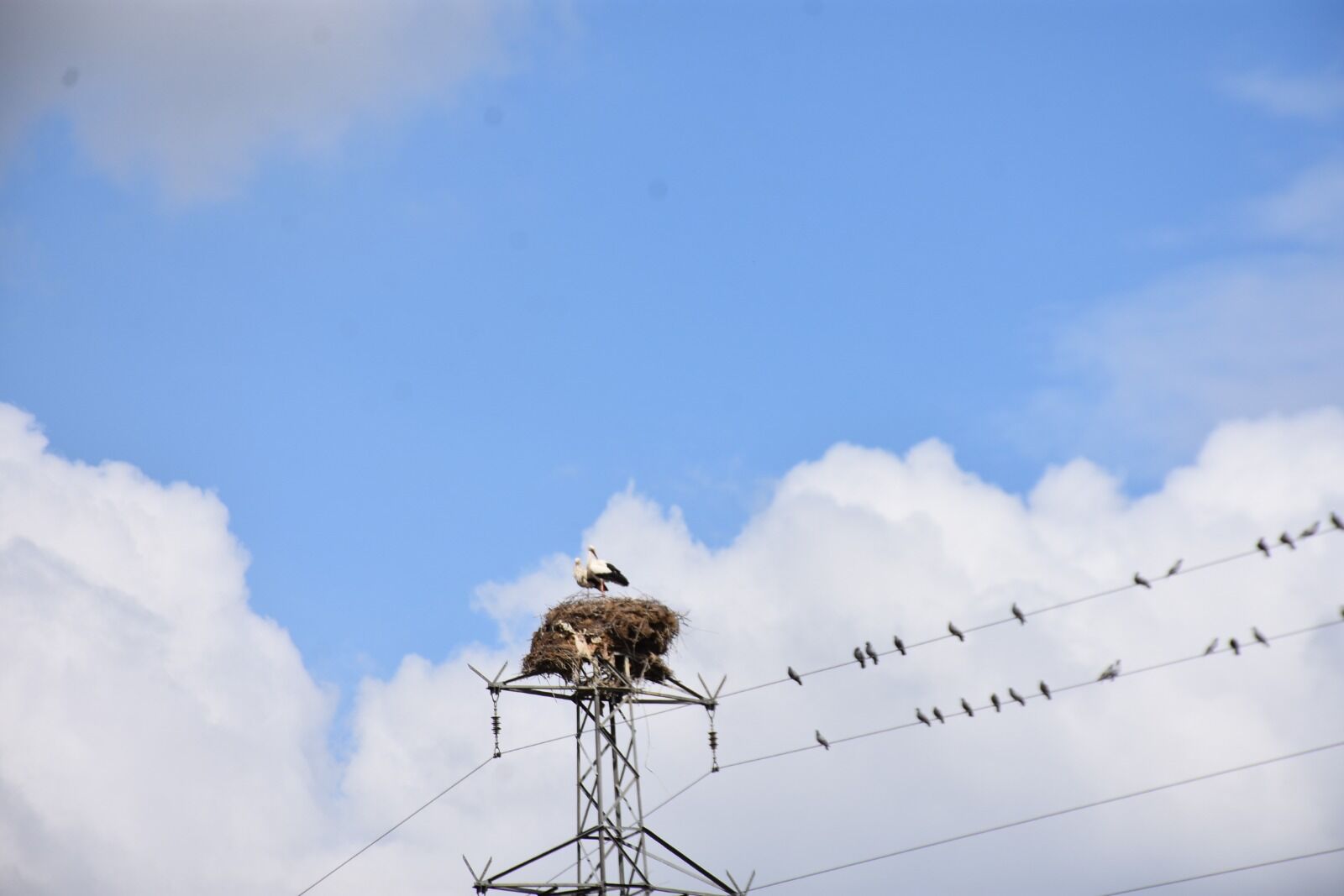 Whatsapp Image 2026 03 25 At 3.37.23 Pm