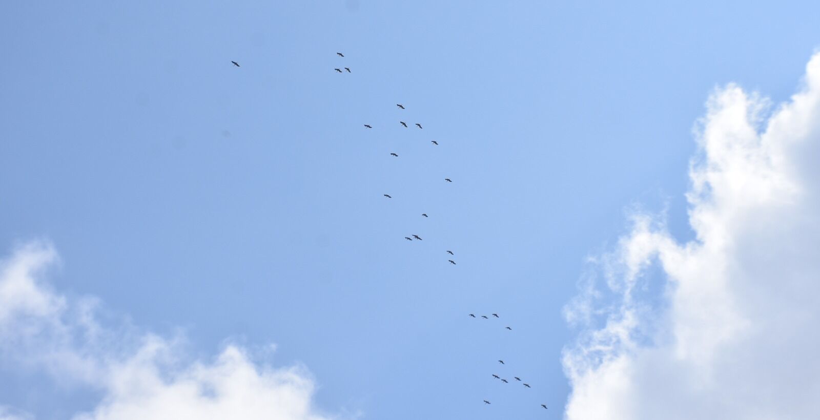 Whatsapp Image 2026 03 25 At 3.37.56 Pm