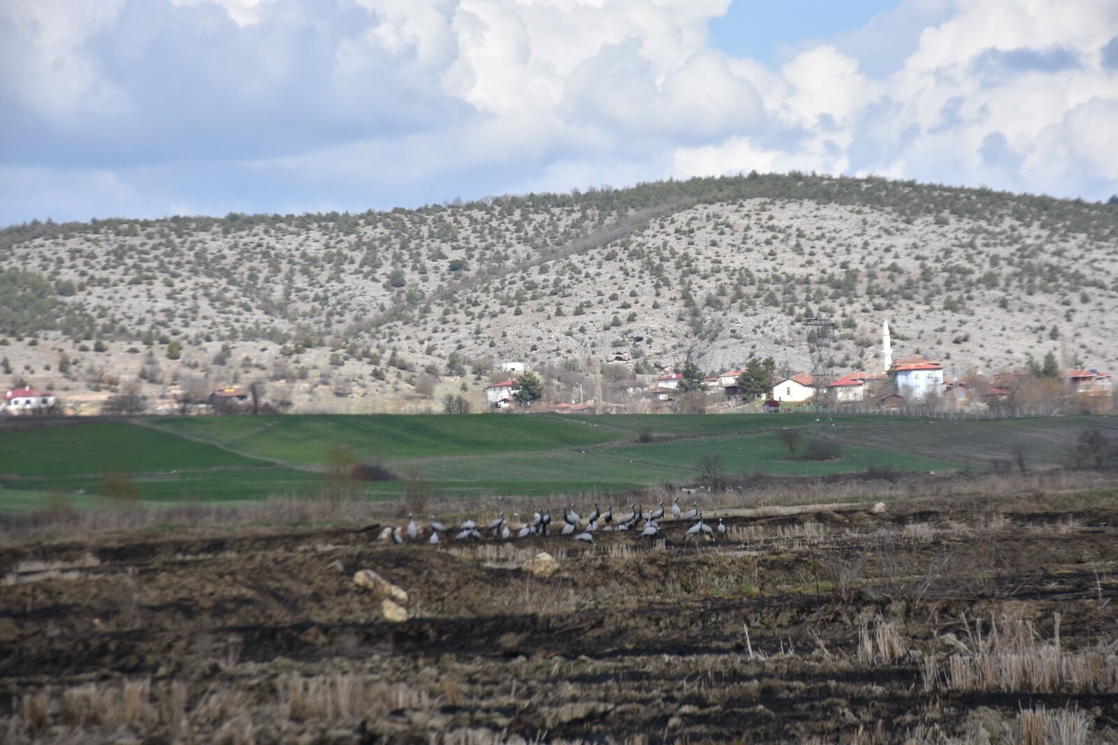 Whatsapp Image 2026 03 25 At 3.37.57 Pm 2