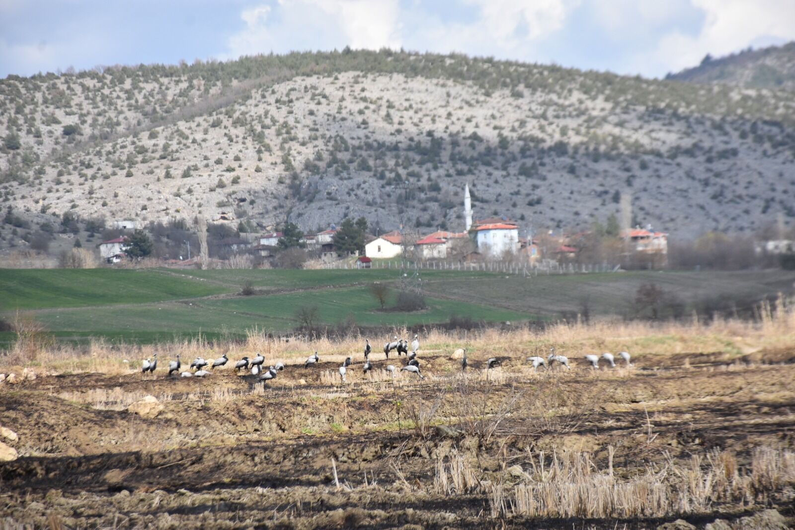 Whatsapp Image 2026 03 25 At 3.37.57 Pm 3