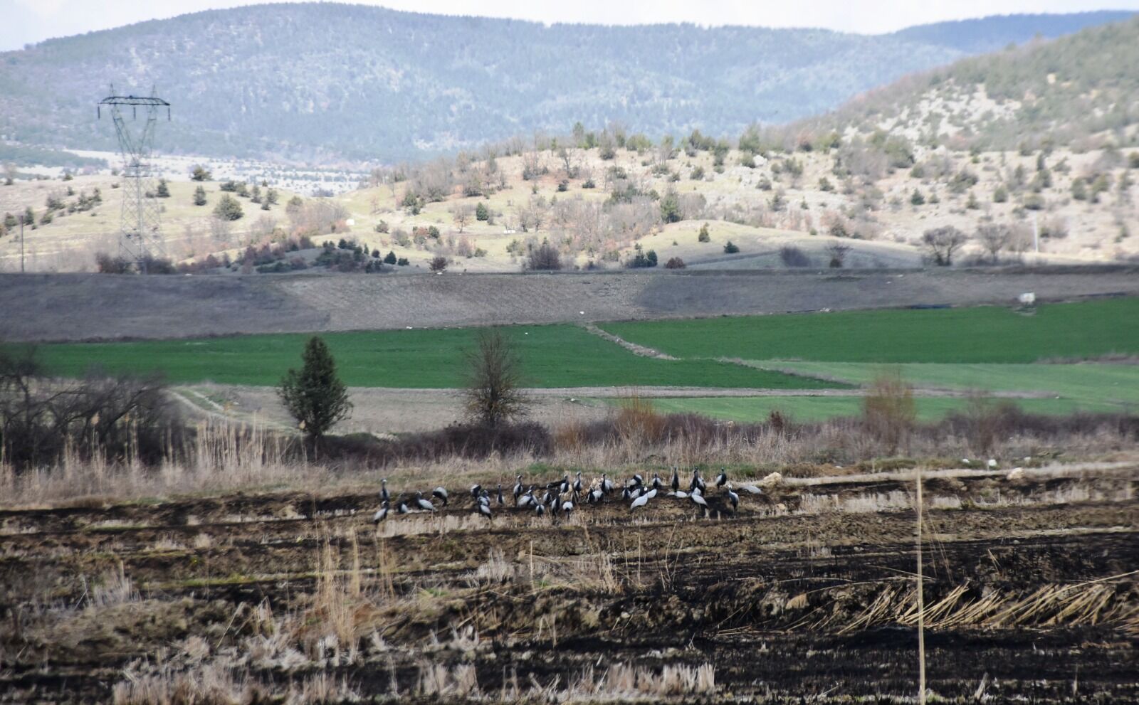 Whatsapp Image 2026 03 25 At 3.37.57 Pm