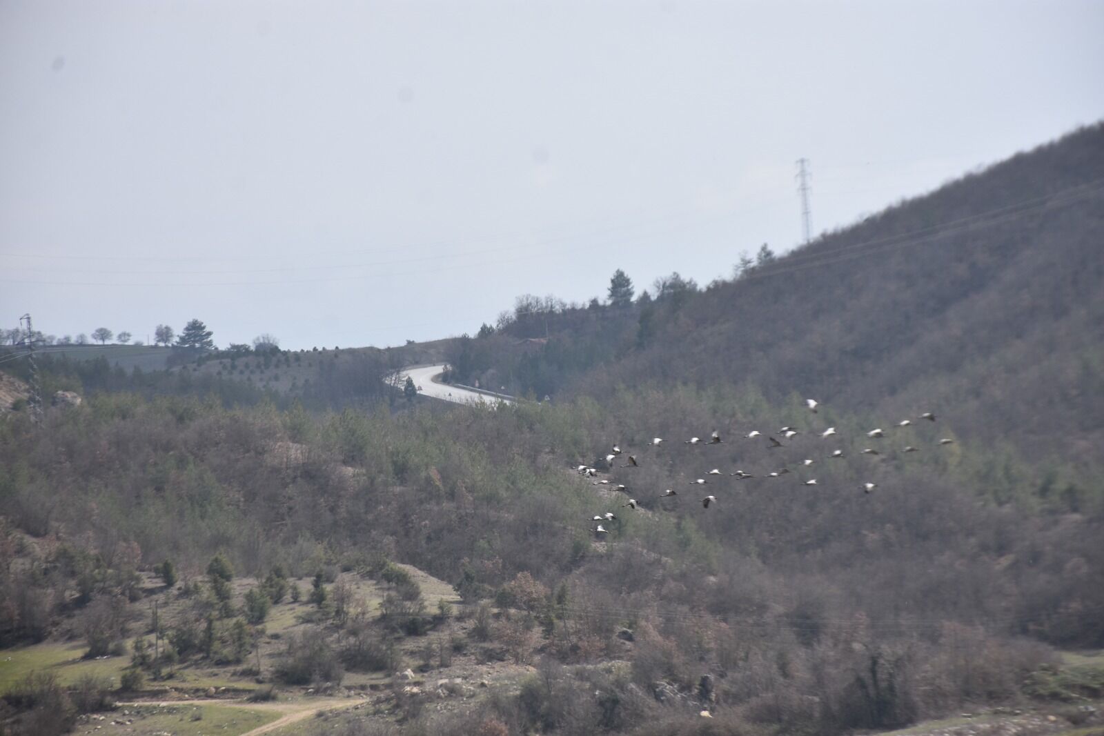 Whatsapp Image 2026 03 25 At 3.37.58 Pm 2