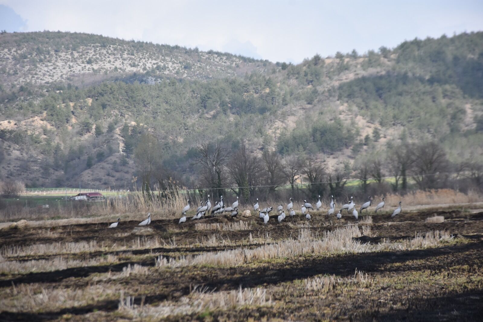 Whatsapp Image 2026 03 25 At 3.37.58 Pm