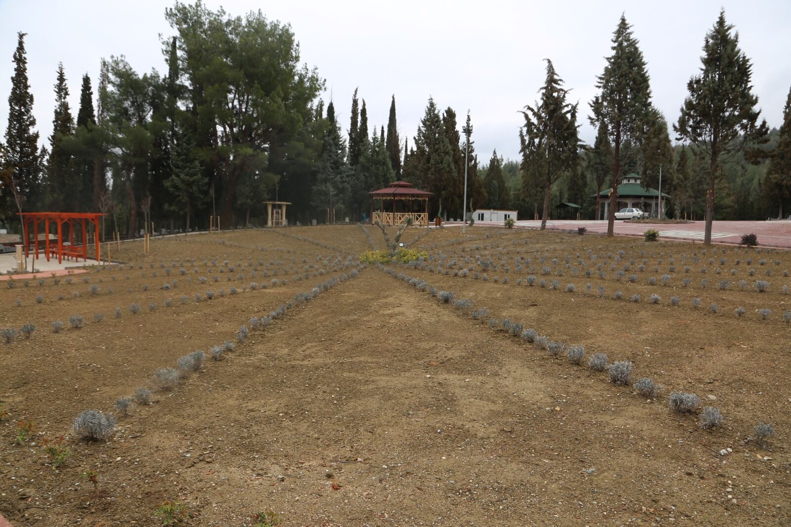 Whatsapp Image 2026 03 27 At 10.17.12 Am 4