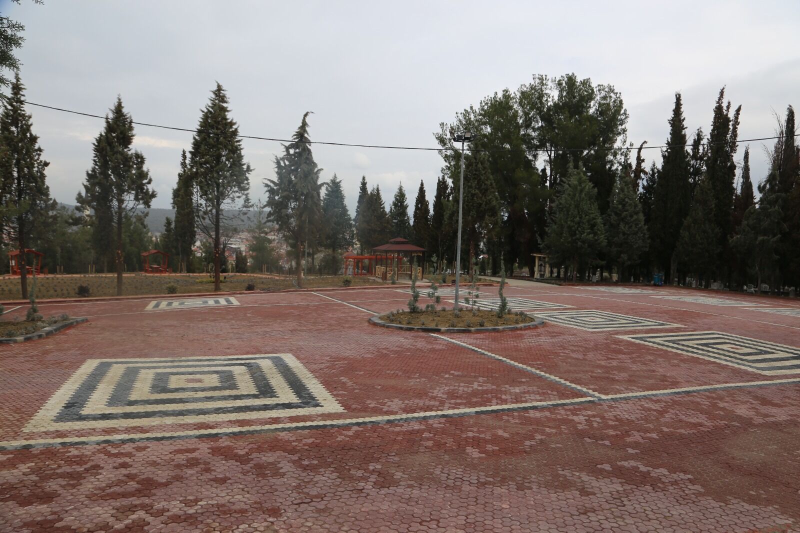 Whatsapp Image 2026 03 27 At 10.17.12 Am