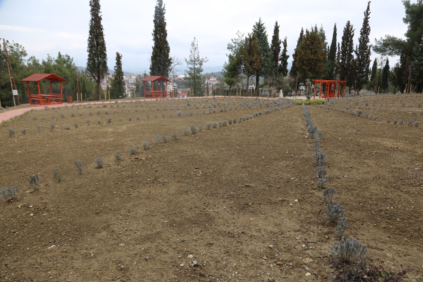 Whatsapp Image 2026 03 27 At 10.17.13 Am 2