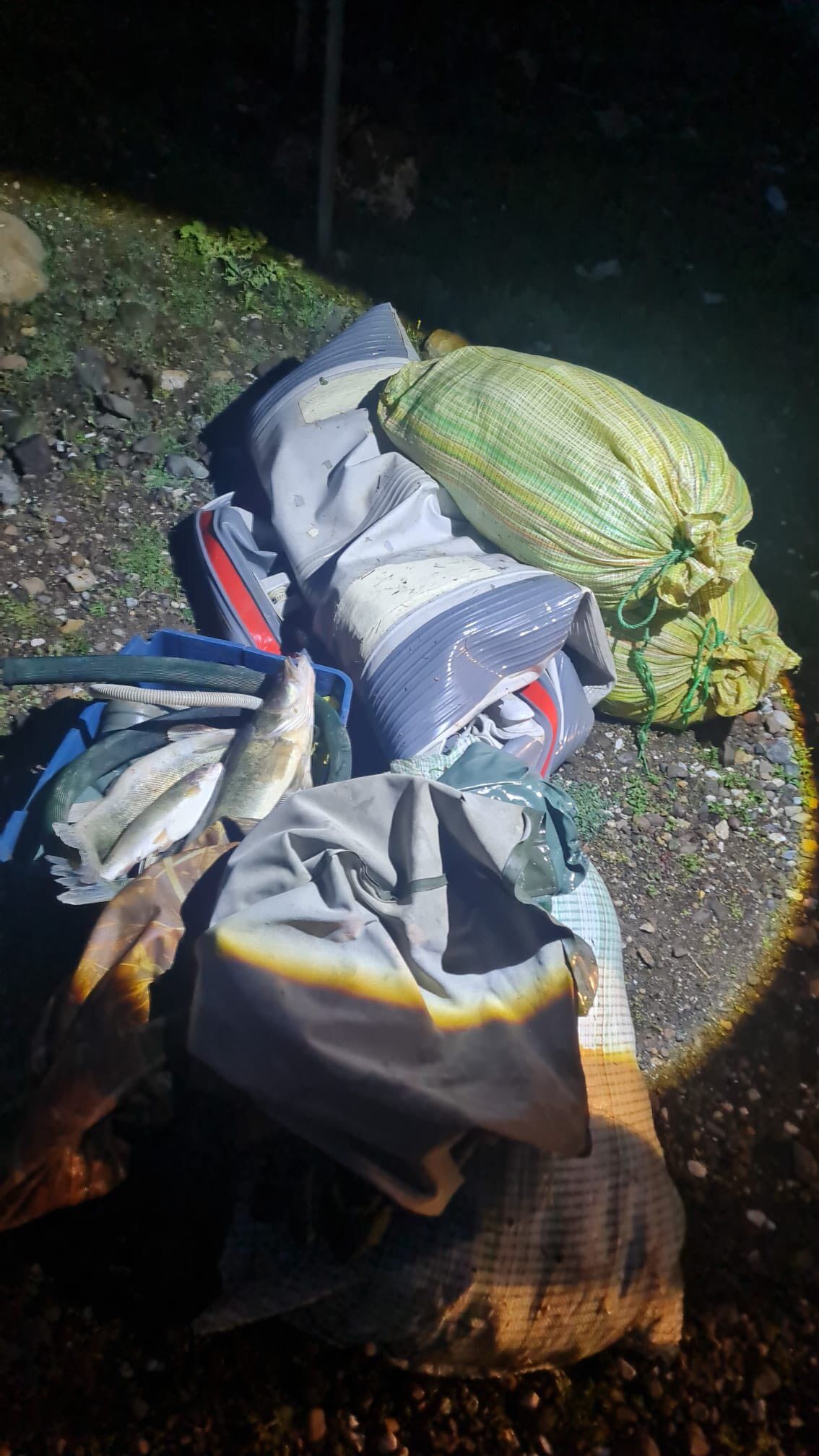 671974285 122230617020108366 533041990161294595 N