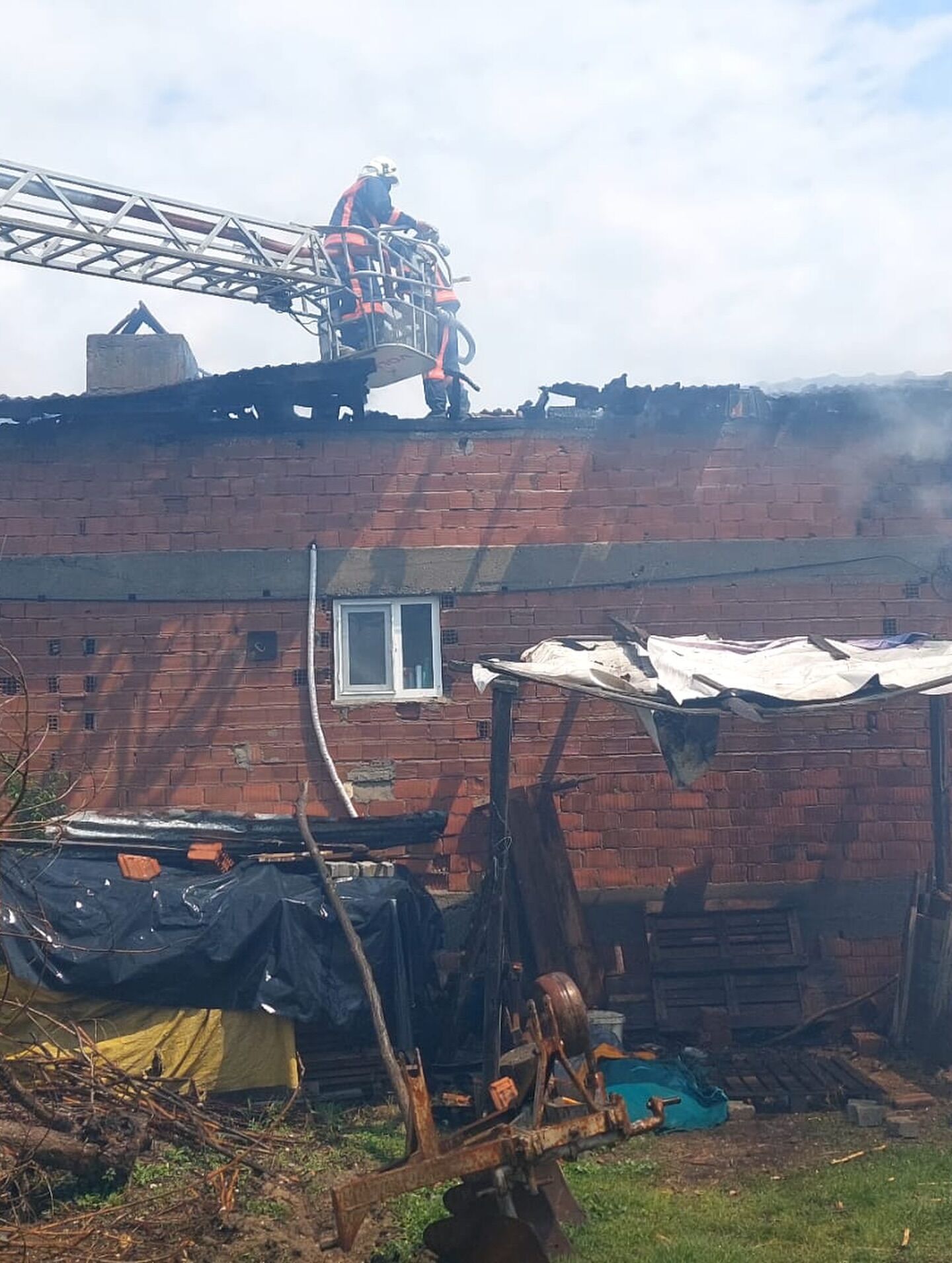 684152575 18323273743252789 8449027190560853986 N