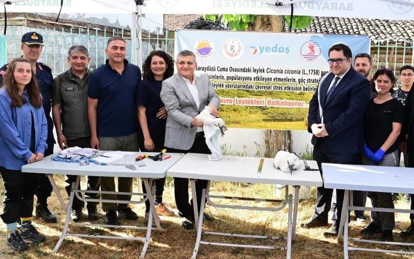 H Fpf Gt W W I A A Neie