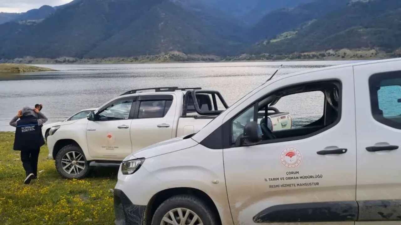 Kargiboyabat 2. J P G