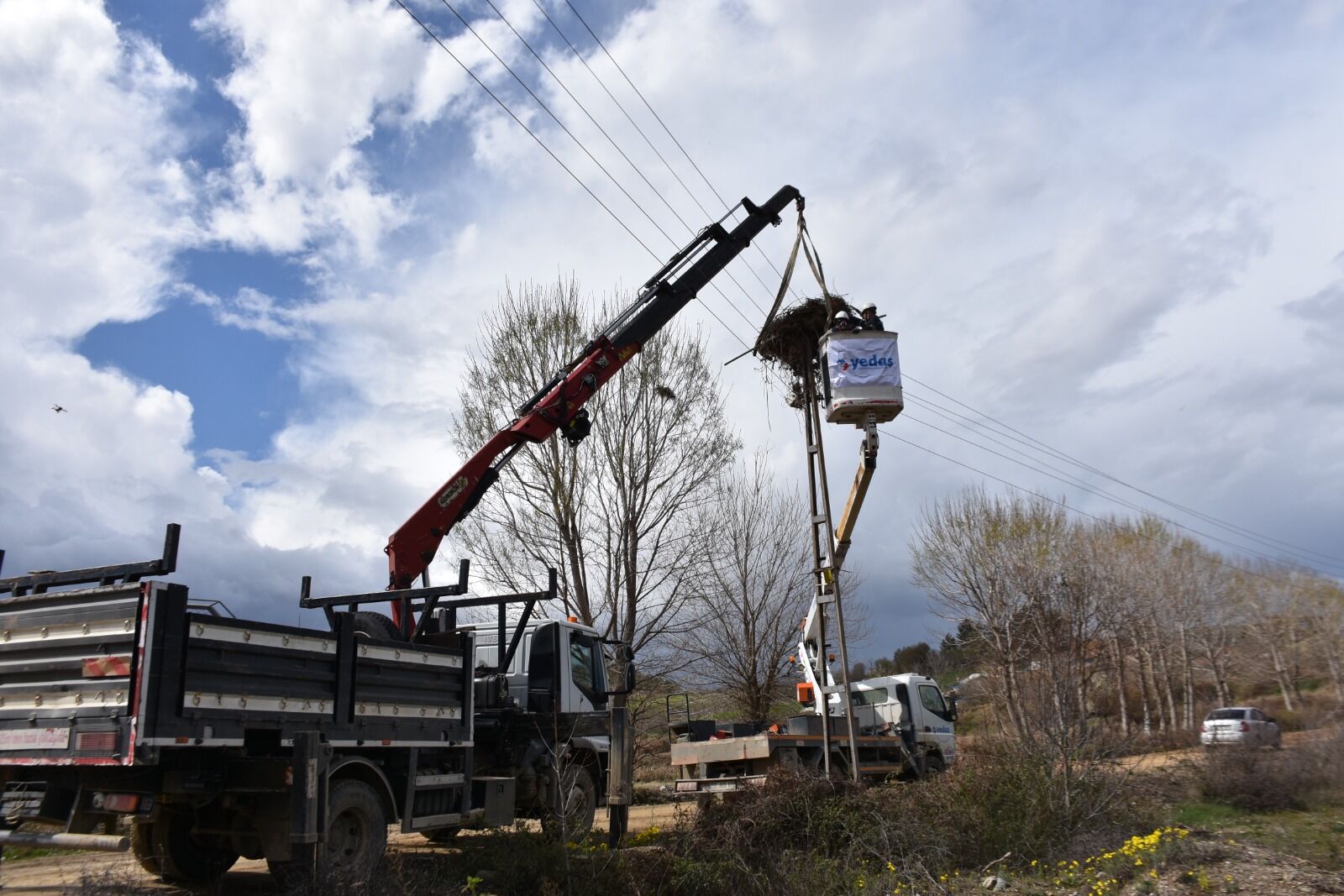 Whatsapp Image 2026 04 03 At 4.31.35 Pm 2