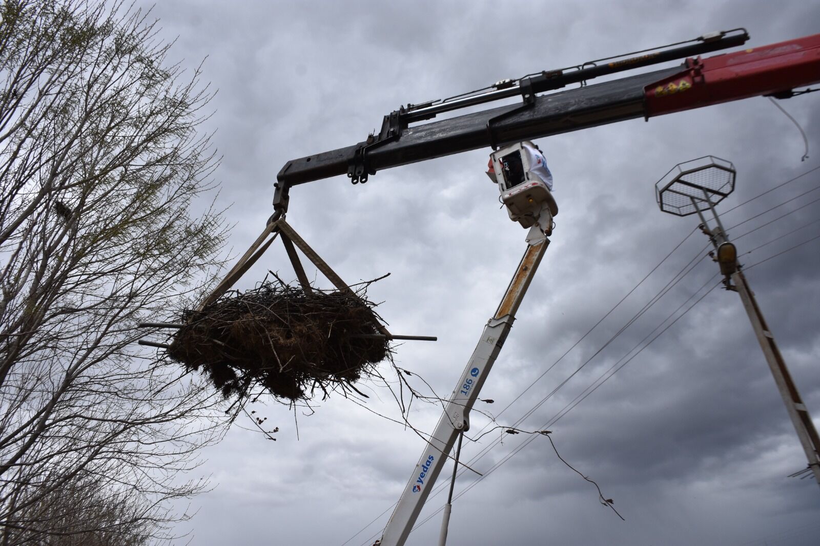 Whatsapp Image 2026 04 03 At 4.31.37 Pm 2