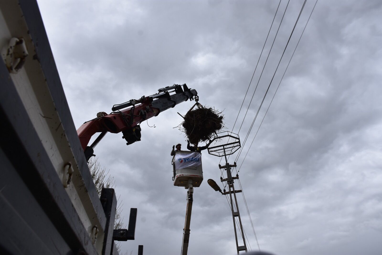 Whatsapp Image 2026 04 03 At 4.31.38 Pm