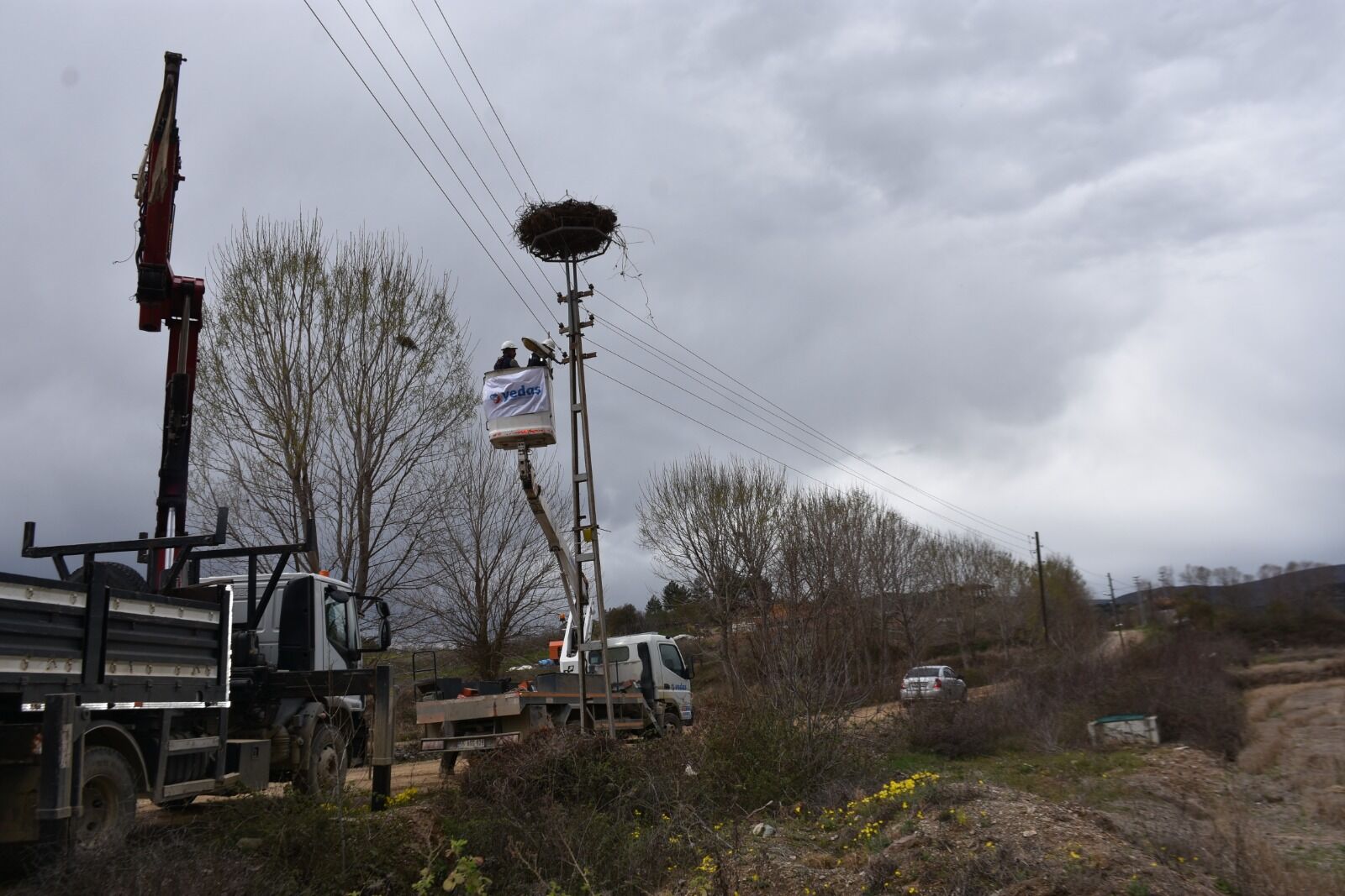 Whatsapp Image 2026 04 03 At 4.31.39 Pm