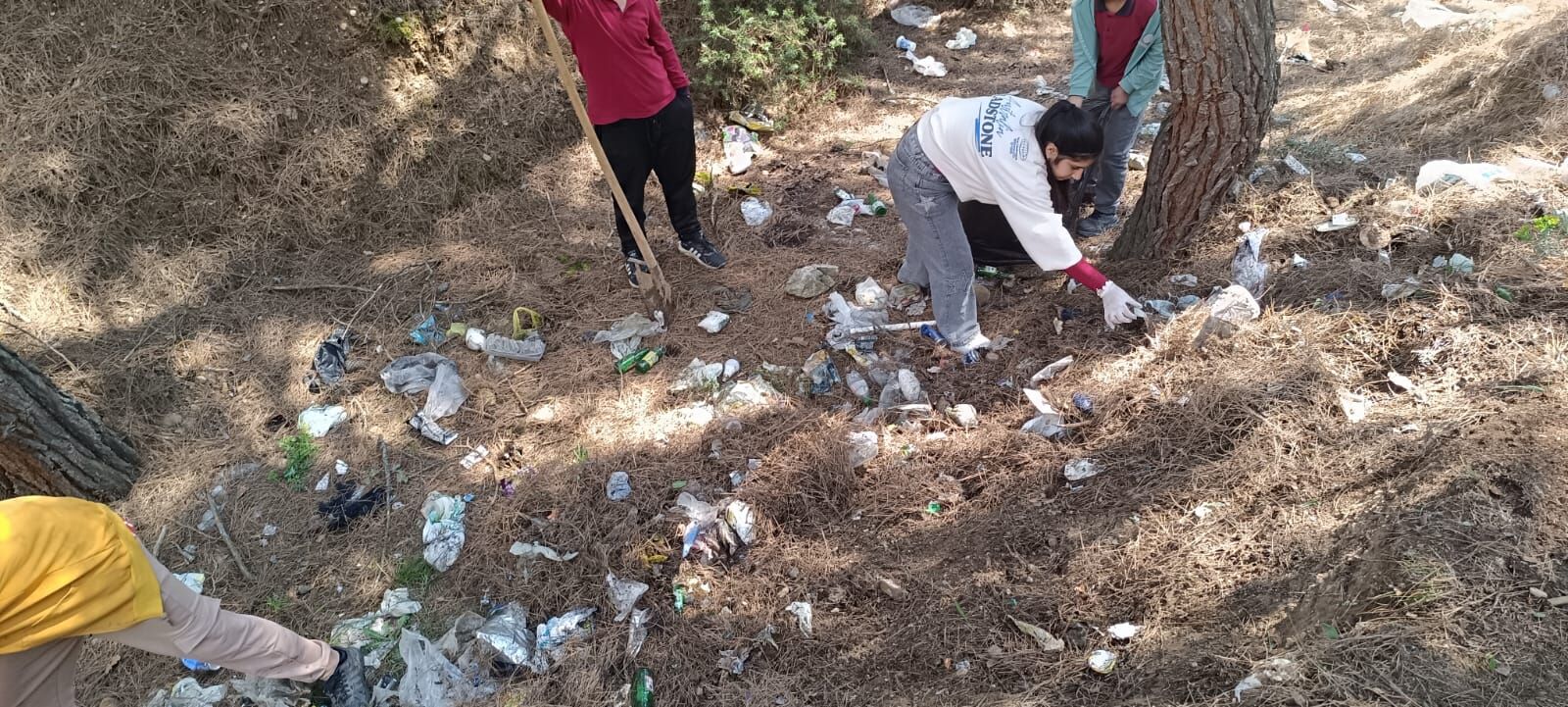 Whatsapp Image 2026 04 21 At 6.18.09 Pm