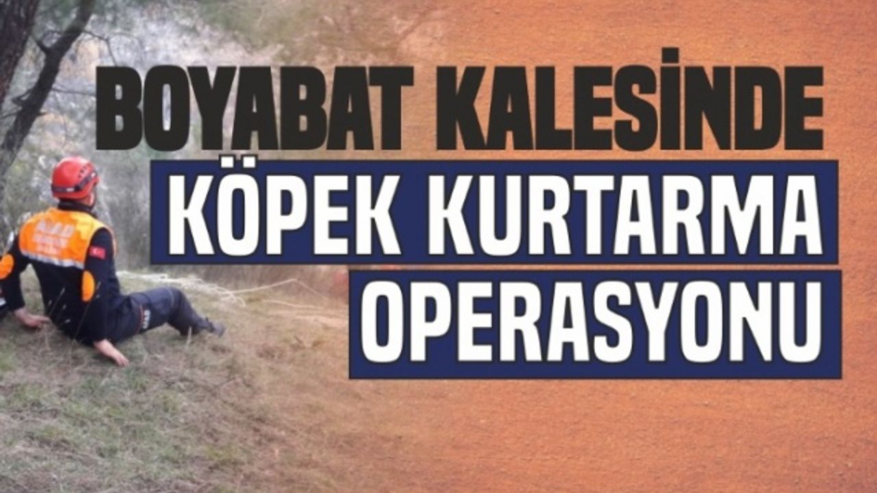 Boyabat Kalesi'nde Köpek Kurtarma Operasyonu