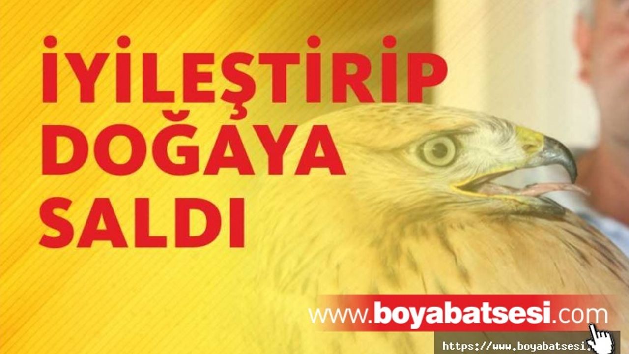 Sağlığına kavuşturduğu kızıl şahini doğaya saldı