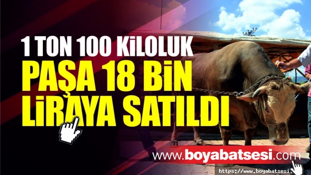 1 ton 100 kiloluk "Paşa" 18 bin liraya satıldı