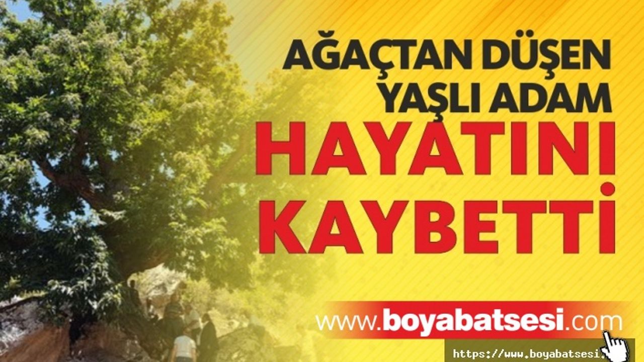Ağaçtan Düşen Yaşlı Adam Hayatını Kaybetti