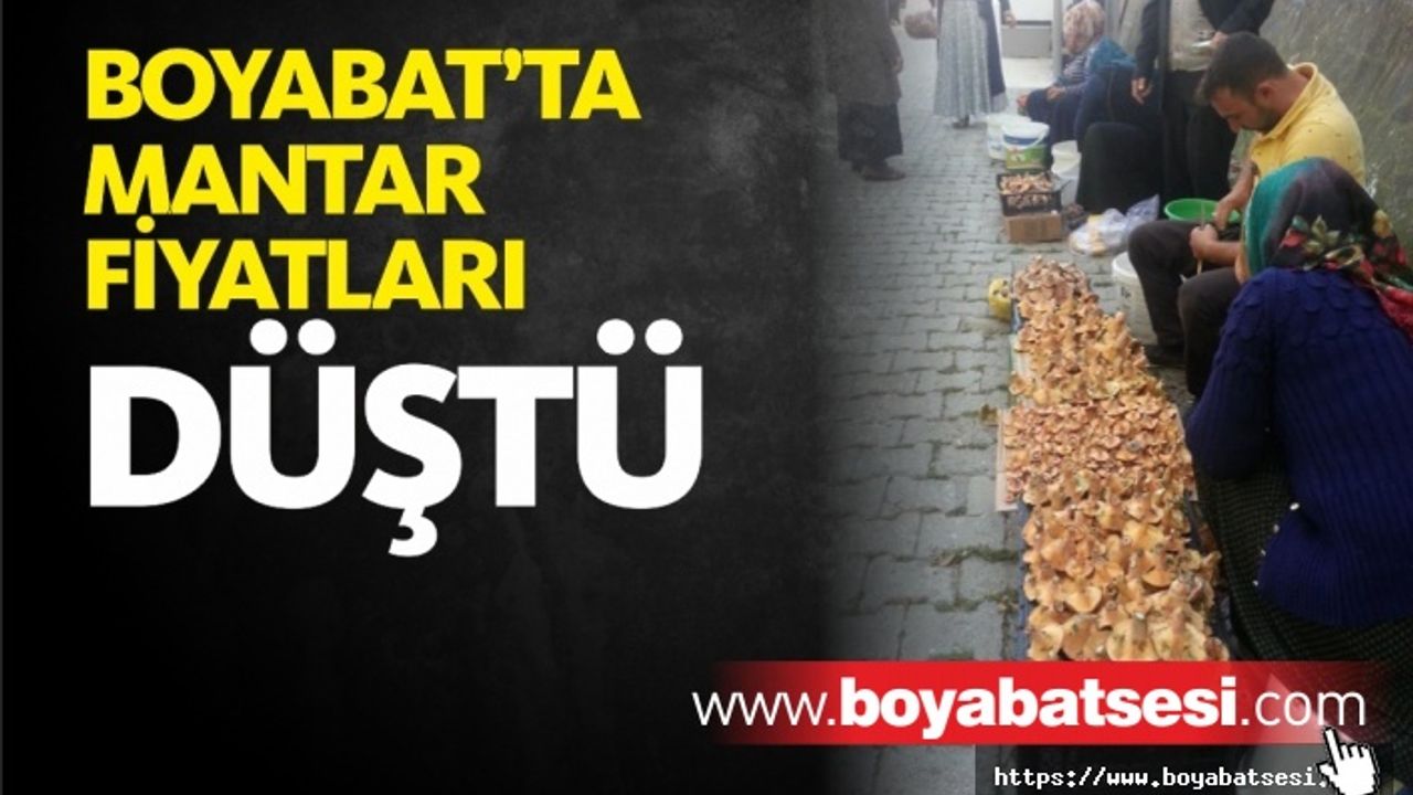 Boyabat Mantar Fiyatlarında Büyük Düşüş Yaşandı