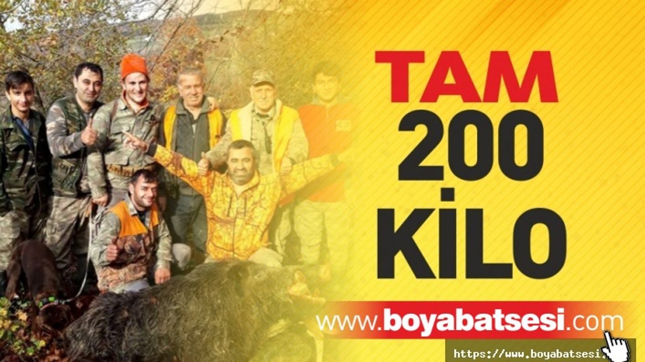 Sinoplu Avcılar 200 Kiloluk Domuz Avladı
