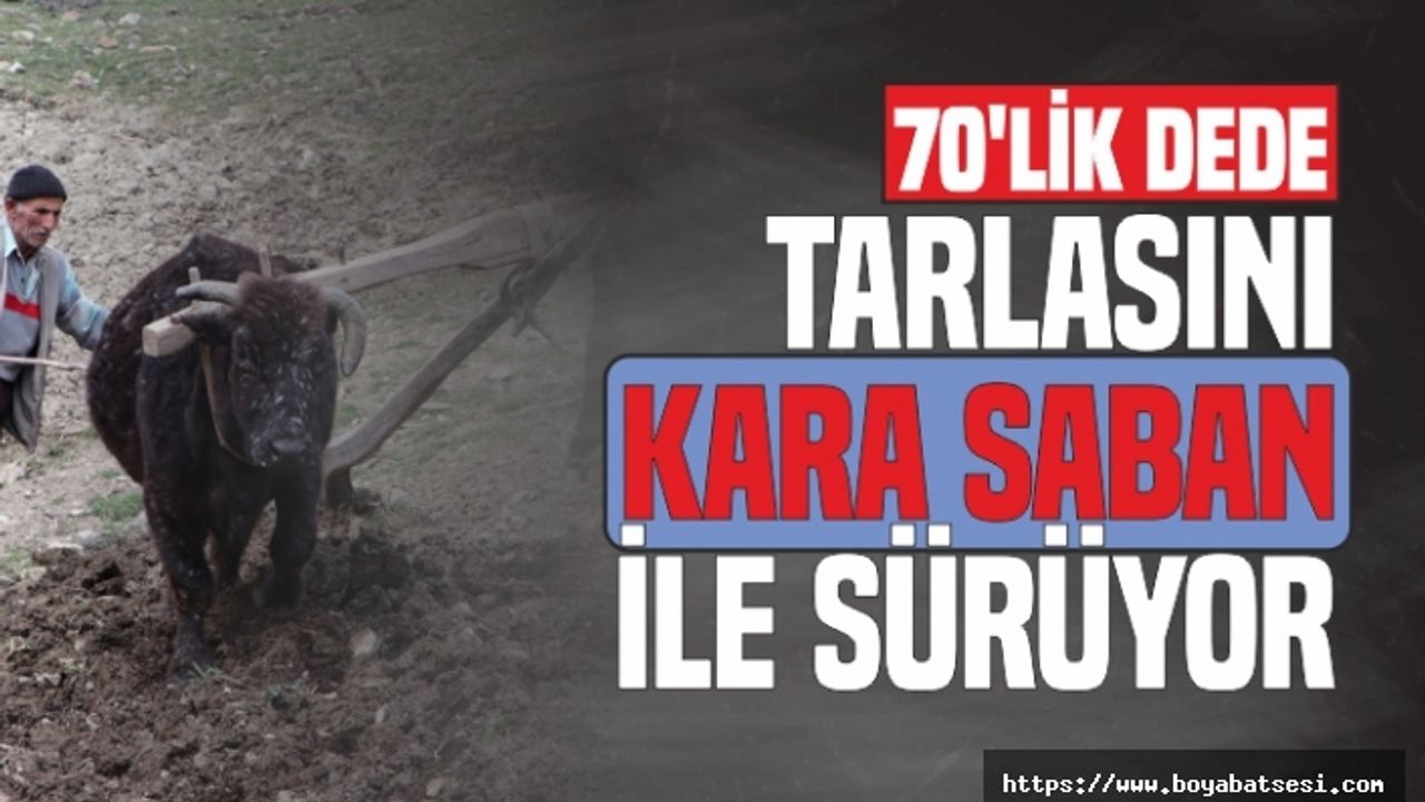 70'lik dede tarlasını kara saban ile sürüyor